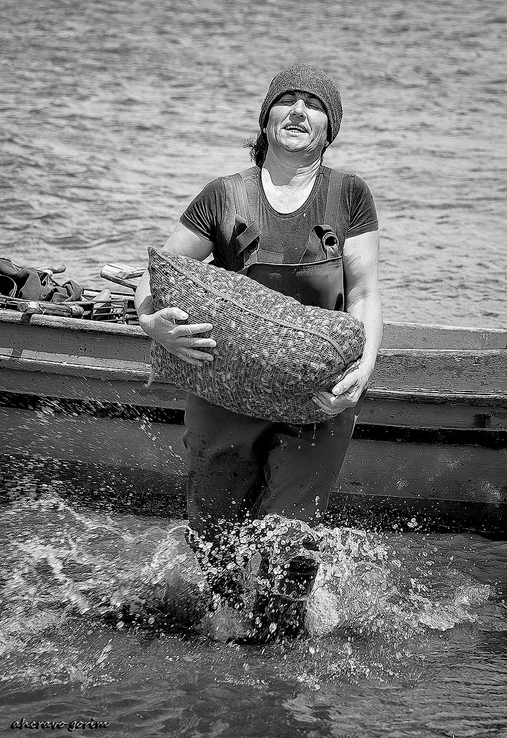 KONICA MINOLTA DIGITAL CAMERA