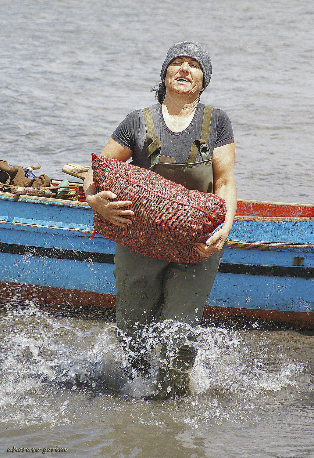 KONICA MINOLTA DIGITAL CAMERA