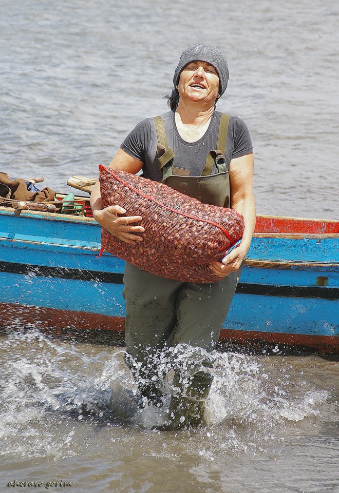 KONICA MINOLTA DIGITAL CAMERA