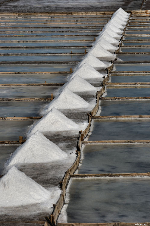 ahcravo_olhares_DSC_7985 morraceira 09