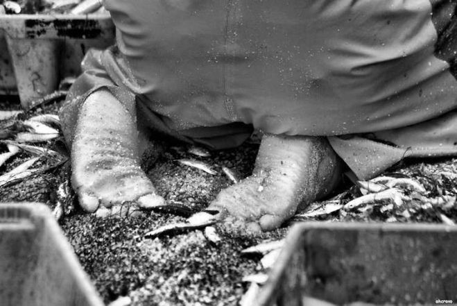 ahcravo_face_DSC_6226 praia de mira