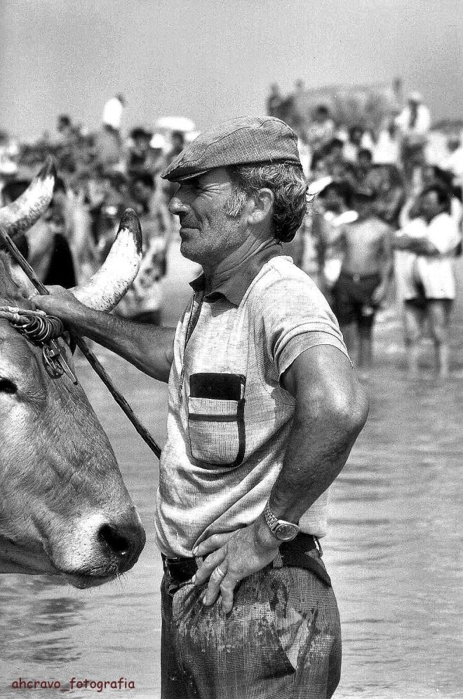 ahcravo_manuel franciscao