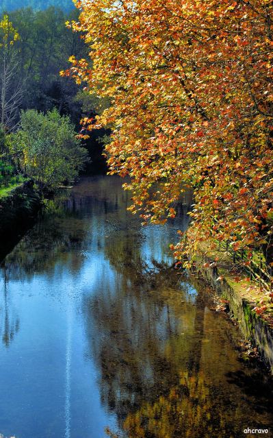 ahcravo_olhares_DSC_0190 s pedro sul leito rio