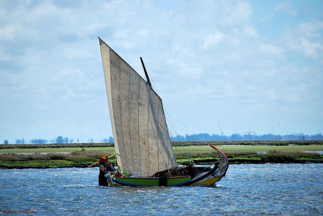 manuel valente_pequenito_5º