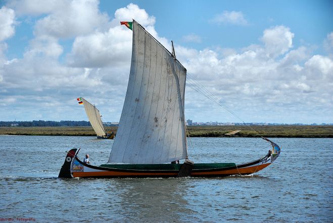 zé rebeço, 2º classificado