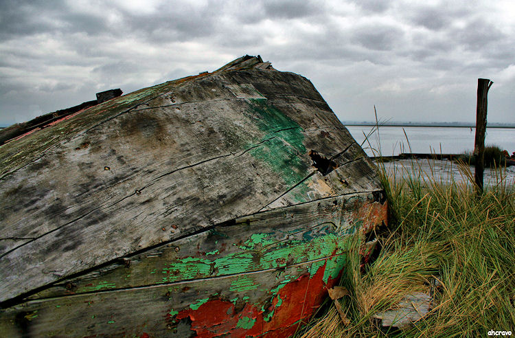 ahcravo_Imagem 1206 moliceiro ria_fhdr