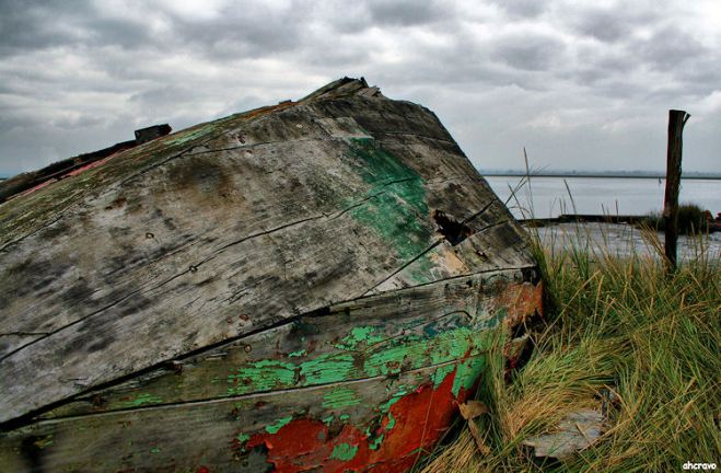 ahcravo_Imagem 1206 moliceiro ria_fhdr