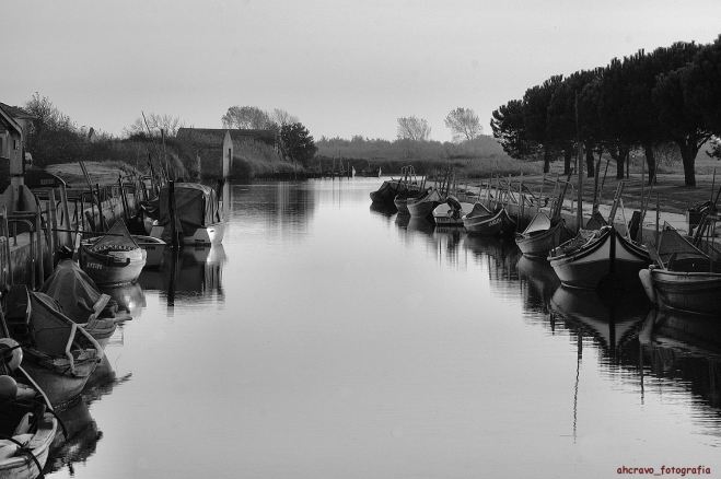 ribeira de pardelhas