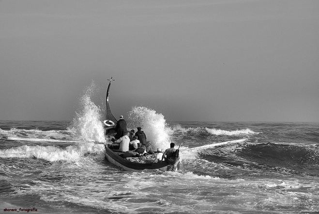 DSC_4806 marco 09 bws