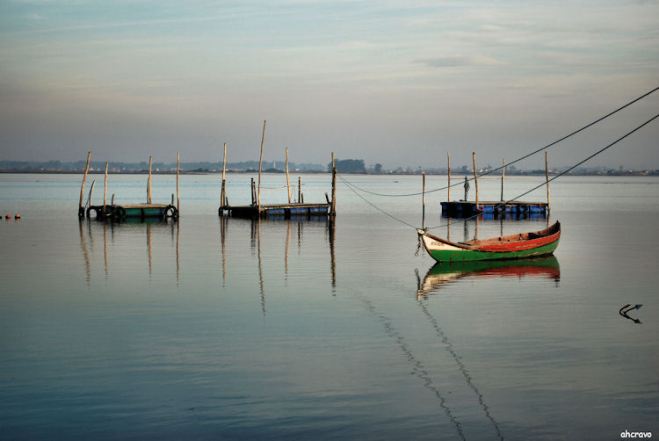 na solidão a beleza da ria