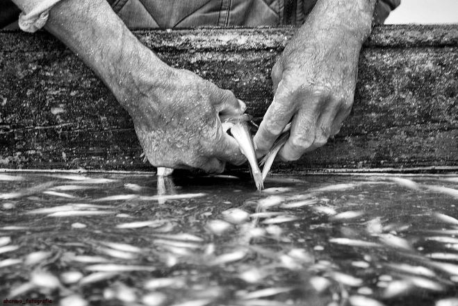 mãos de caetano da mata