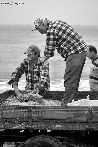 zé pato e antónio sabonete