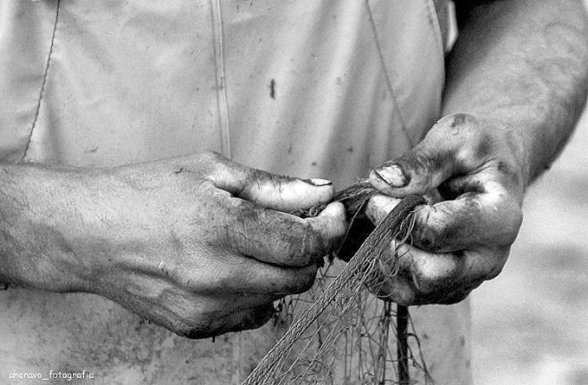 safar redes, marina dos pescadores, torreira