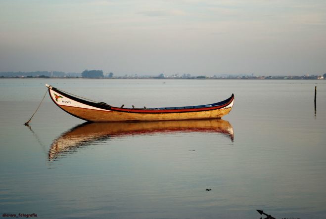 bateira na ria de aveiro
