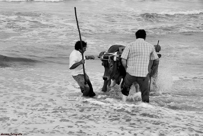 lavrar o mar em espinho