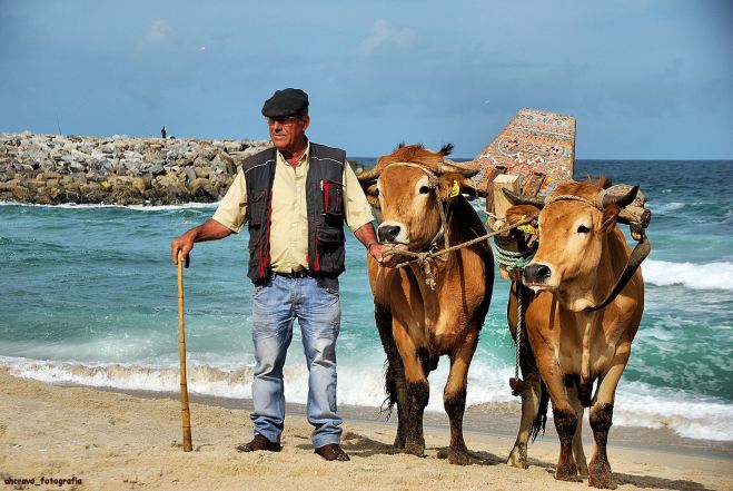 ahcravo_DSC_6131_espinho 2012