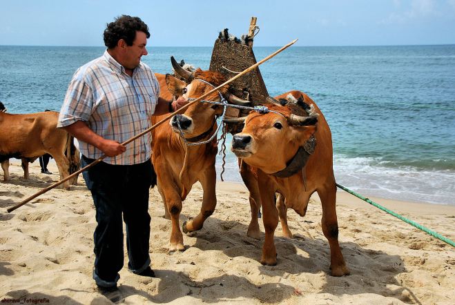 ahcravo_DSC_6189_espinho 2012