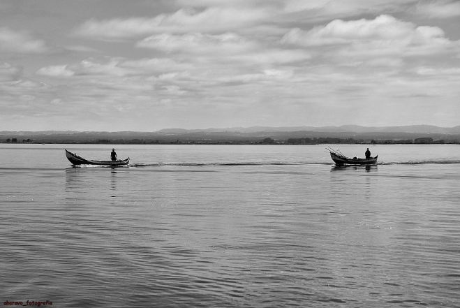 vem comigo quem quer