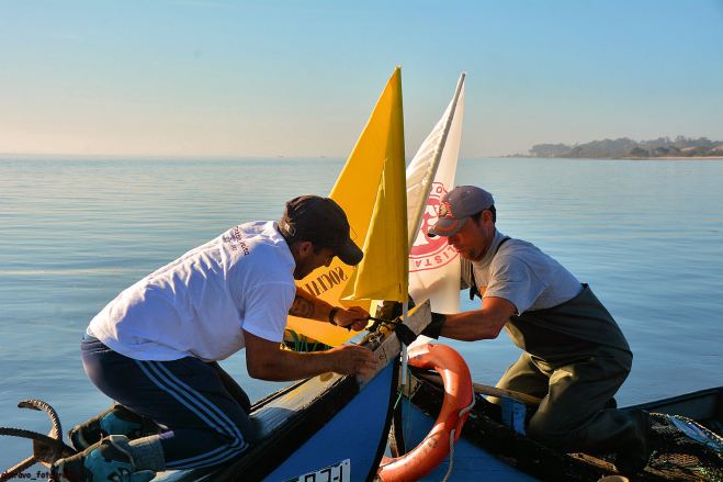 torreira, marina dos pescadores