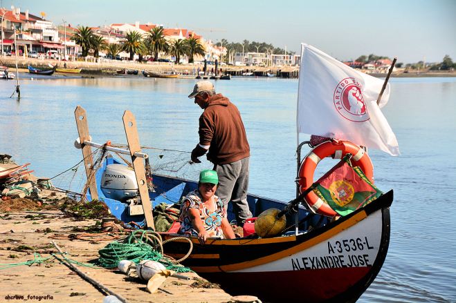 ahcravo_DSC_2533_campanha