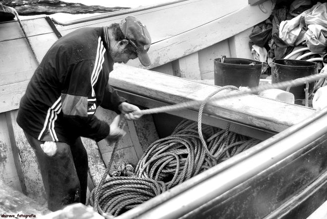 alberto trabalhito "trovão"