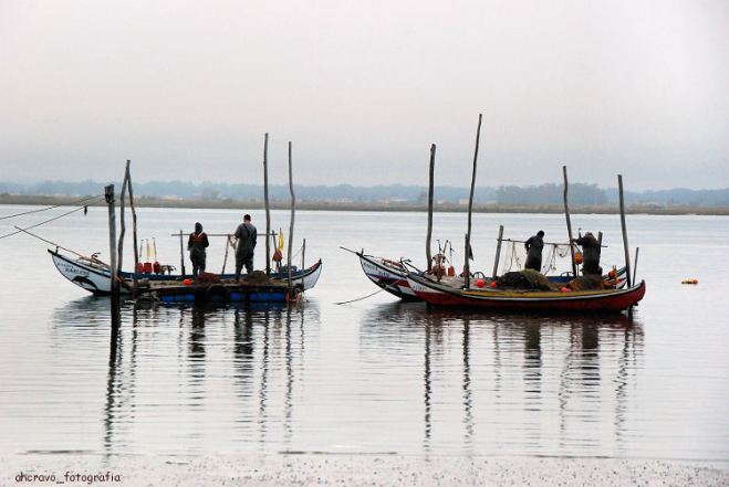 ria de aveiro; torreira