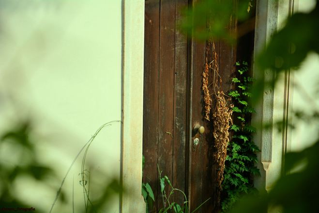 assim em coimbra a porta