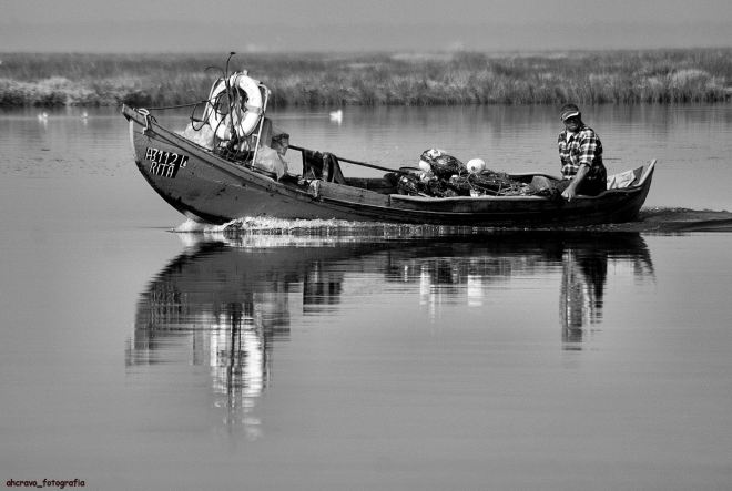 ria de aveiro, murtosa, chegado