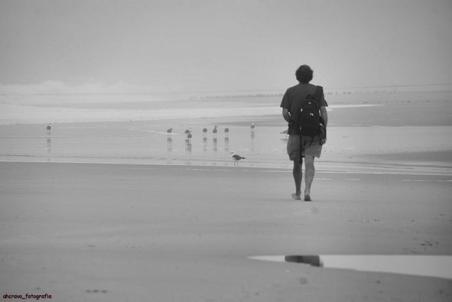 desaparecem no nevoeiro