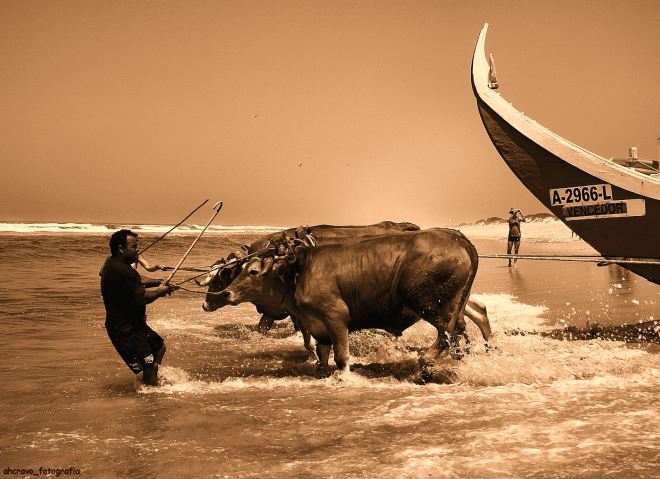 quando os motores eram de carne