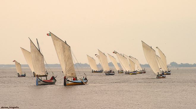 ainda eram bastantes em 2007