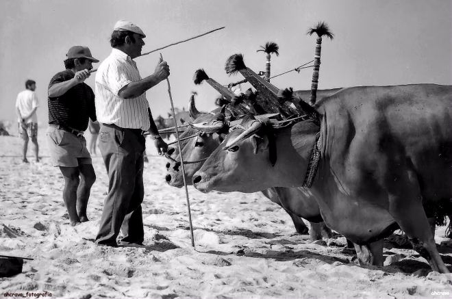 domingos santos e venâncio