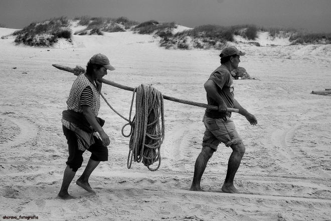 ana amaral e alfredo neto