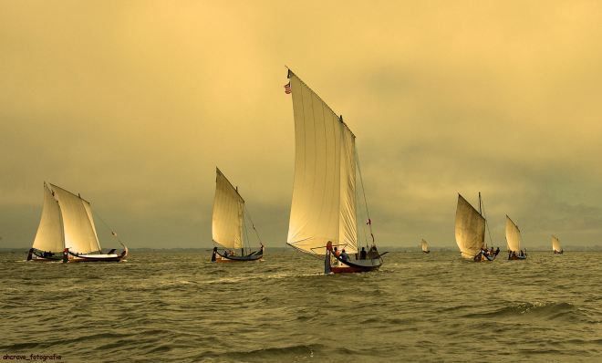 o voo dos moliceiros