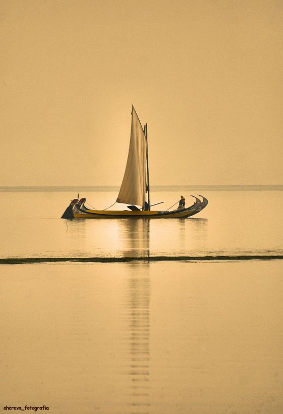 são dois moliceiros e vêm à vara, o vento adormeceu