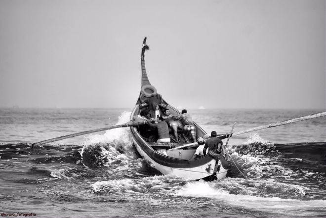 o mar por vício de vencer