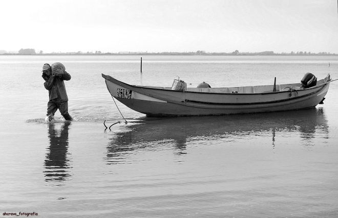 ti manel joão e um saco de berbigão