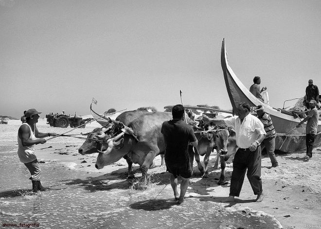 juntas as juntas e os homens que nelas