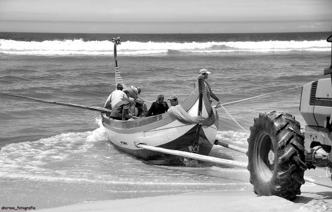 o maria de fátima vai fermoso e seguro