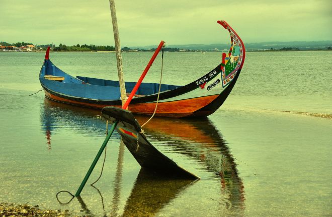 o moliceiro manuel silva recuperado pelo mestre zé rito