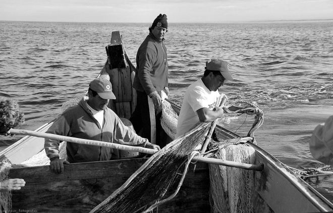 largados os rolos, o calão inicia o largar da rede