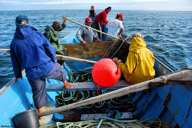 vermelho vivo, o arinque do calão da mão de barca
