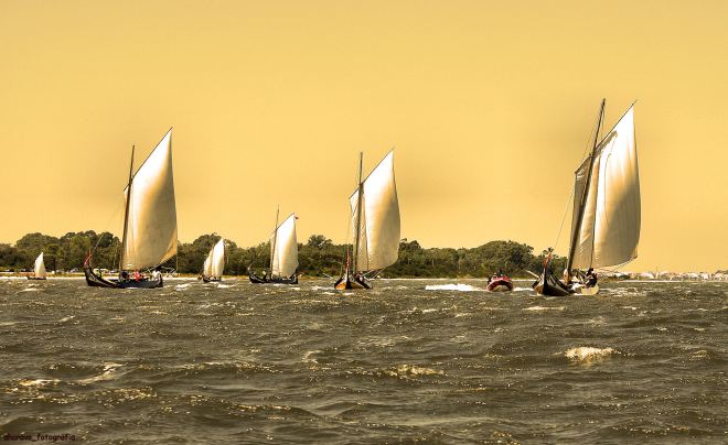 regata da ria, 2009. sente-se a nortada