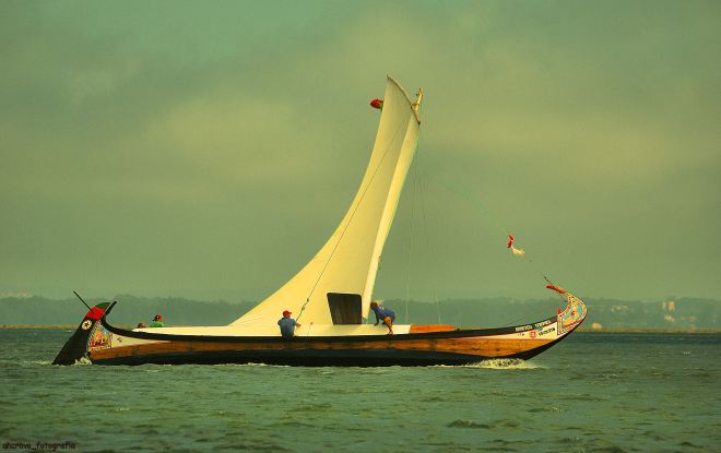 o doroteia verónica na regata de 2010