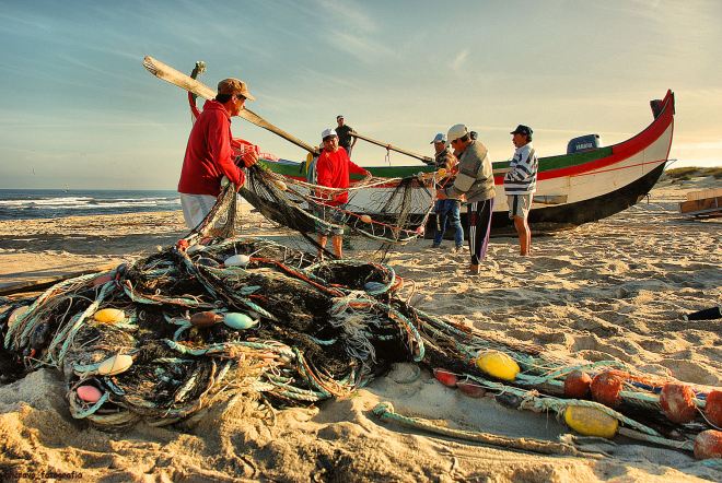 o aparelhar das redes; torreira; companha do marco; 2011