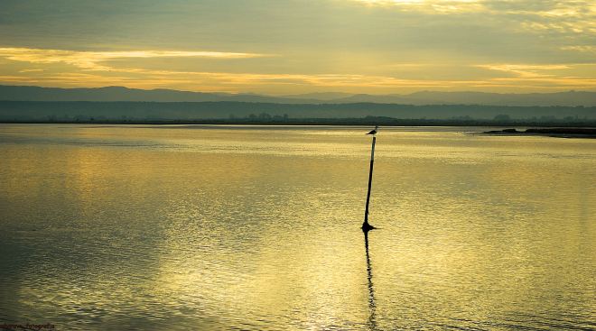 chegado, era manhã e eu ......