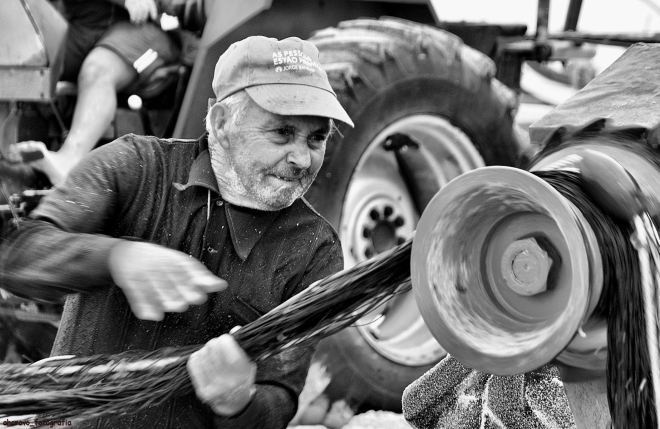 o ti américo e a chegada da manga do reçoeiro