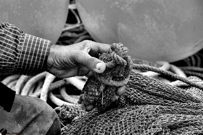 o ti augusto segura o nó da corda que prende a calima ao fundo do saco