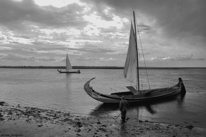 ahcravo_DSC_1270_regata bico 2012_manuel valas bw