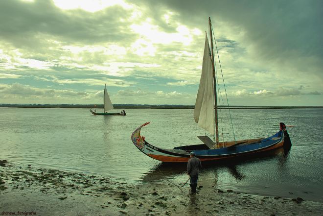 cais do bico, agosto, 2012. antes da regata